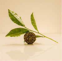 Green Tea Leaf