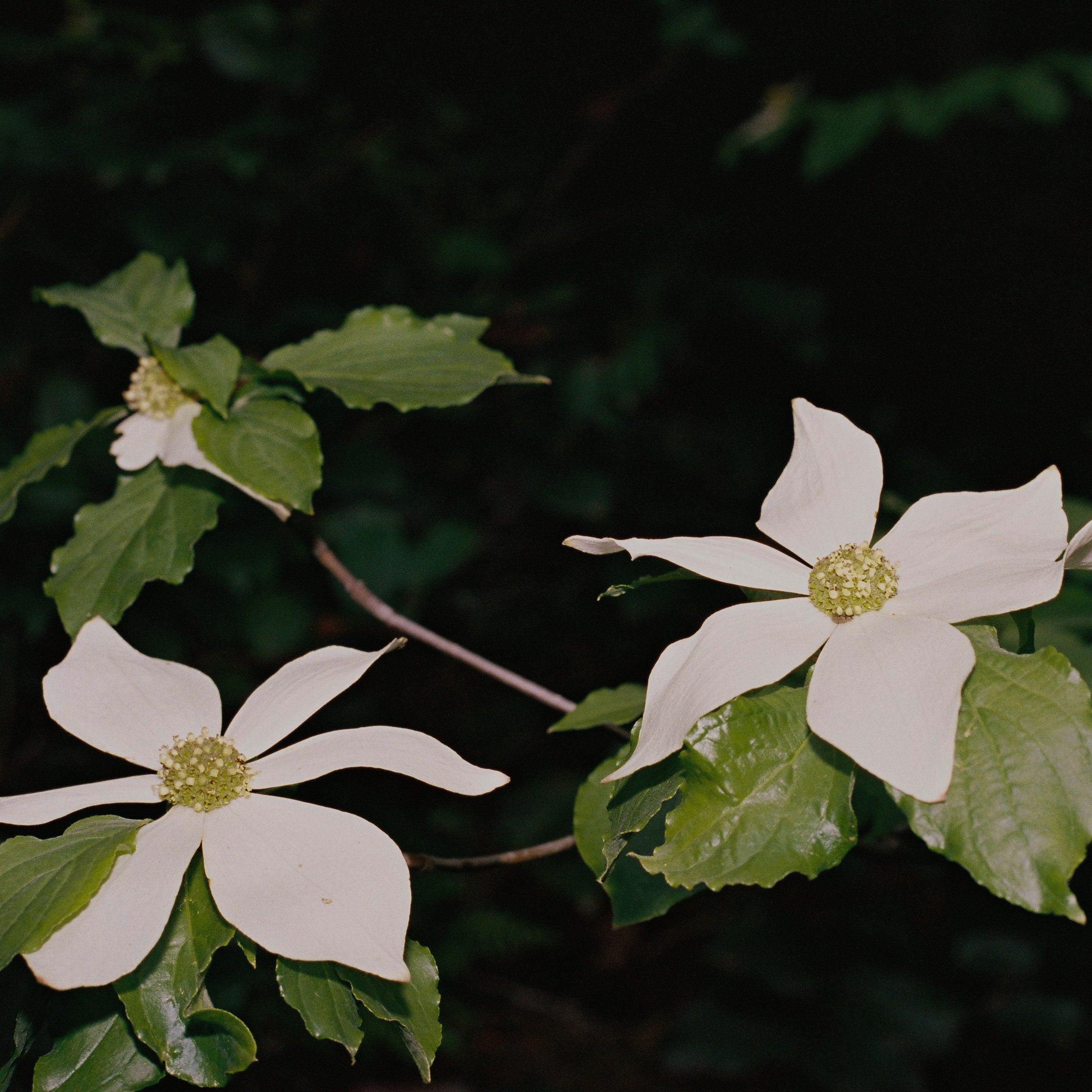 Meet Your New Routine