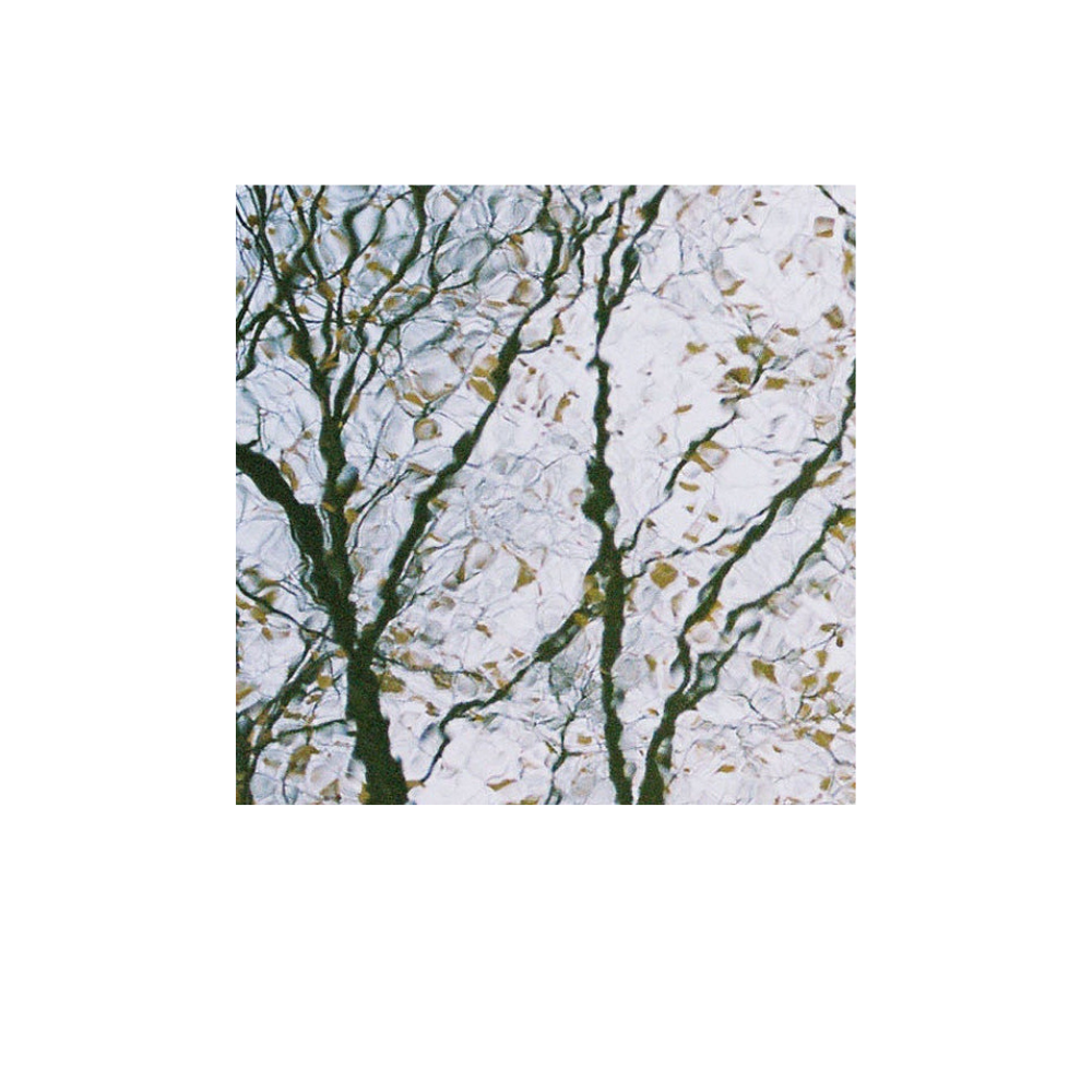 Abstract image, gift card