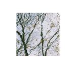 Abstract image, gift card