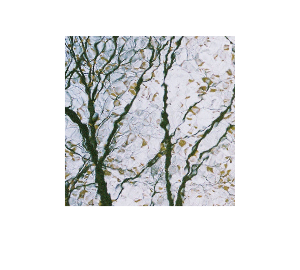 Abstract image, gift card